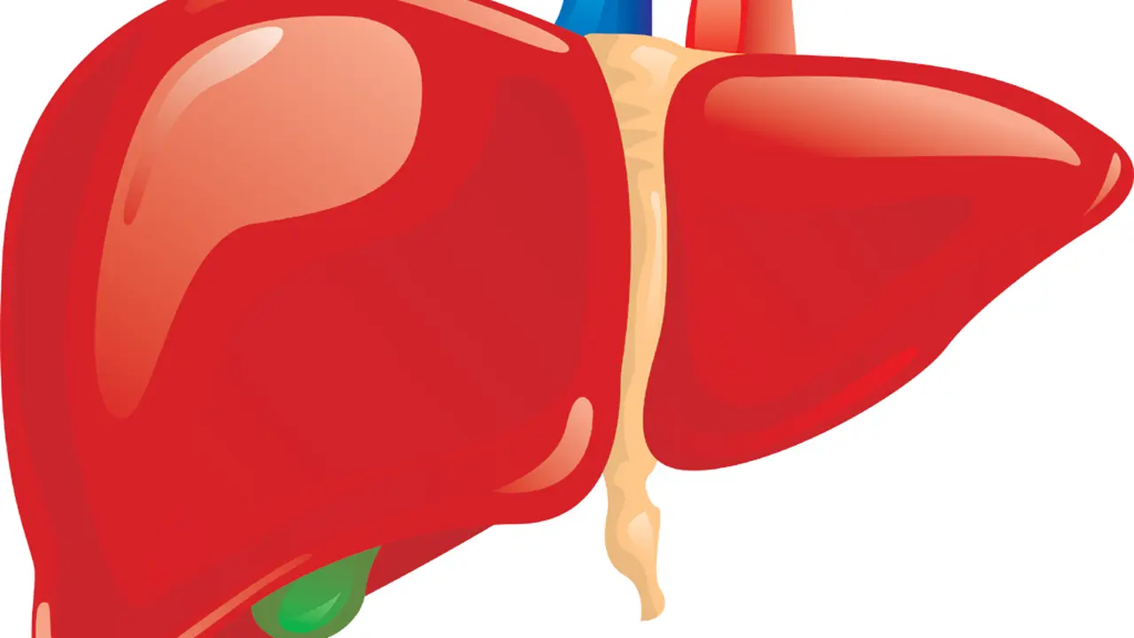 Hari Hepatitis Sedunia 2015, Fokuskan Pada Pencegahan