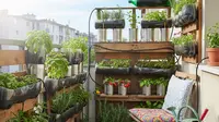 6 Cara Berkebun di Rumah Sempit, Sulap Lahan Terbatas Jadi Kebun Produktif dan Estetik