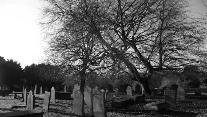 13 Kematian Selebriti Indonesia yang Sangat Fenomenal