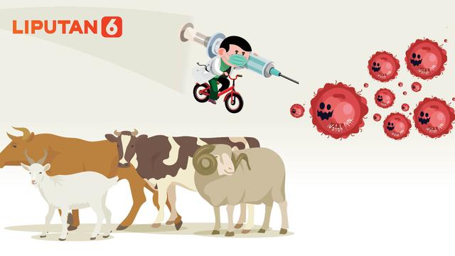 Banner Infografis Vaksinasi PMK Hewan Ternak Digencarkan Jelang Idul Adha. (Liputan6.com/Abdillah)