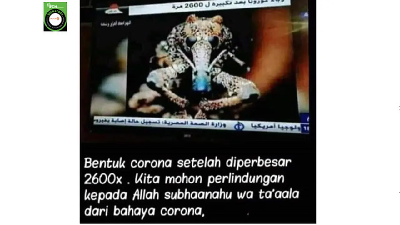 Foto Penampakan Virus Corona