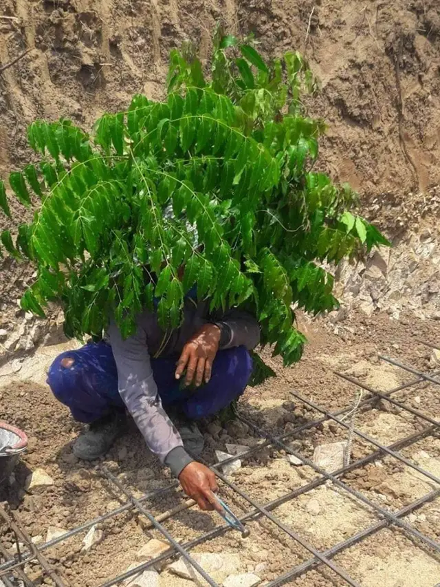 6 Cara Kocak Orang Agar Tidak Kepanasan Ini Bikin Ketawa