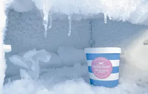 7 Cara Mencegah Bunga Es Cepat Muncul Lagi di Freezer, Jangan Asal Defrost
