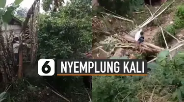 Nasib apes dialami seorang pria saat menebang pohon pisang.