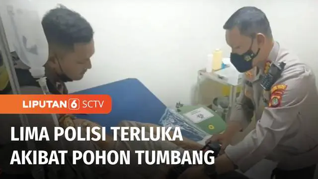 Polres Metro Jakarta Pusat memastikan anggotanya yang tertimpa pohon tumbang di halaman Gedung Balai Kota DKI berjumlah lima orang. Para korban tertimpa pohon saat tengah menggelar apel konsolidasi pasca pengamanan unjuk rasa buruh.