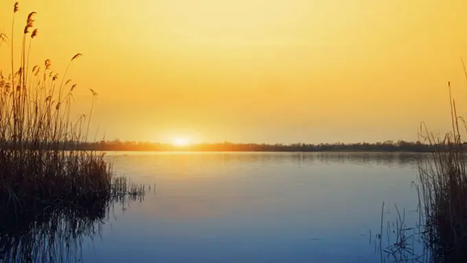 Courtesy ShutterStock.com