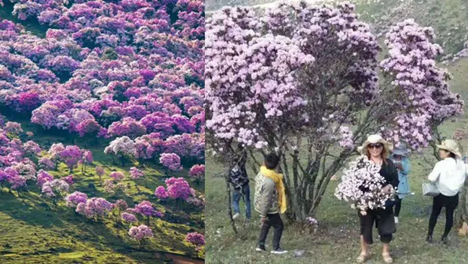 copyright by shanghaiist.com