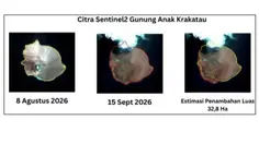 Anak Krakatau Meluas 32,8 Hektare Usai Erupsi, Muncul 2 Daratan Baru