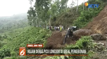 Hujan deras memicu longsor di areal perkebunan teh PTPN XII di Kecamatan Sumberbaru, Jember, hingga membuat akses jalan tertutup.
