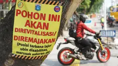 Poster revitalisasi menempel pada pohon yang berada di jalur pedestrian Jalan Kramat Raya, Jakarta, Jumat (8/11/2019). Sepanjang pengerjaan jalur pedestrian, pohon yang berada di jalur tersebut rencananya juga akan direvitalisasi dan diremajakan. (Liputan6.com/Immanuel Antonius)