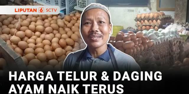 Pembeli dan Pedagang Mengeluhkan Harga Telur yang Terus Merangkak Naik