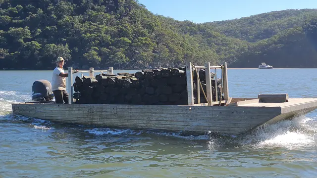Sydney Oyster Farm Tour