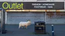Seekor kambing berjalan melewati toko yang tutup, di dekat Alun-alun Trinity, di Llandudno, Wales utara, Selasa (31/3/2020). Kambing-kambing liar berkeliaran di jalanan kota yang tampak lengang selama pemberlakuan lockdown dalam upaya membatasi penyebaran virus corona. (Pete Byrne/PA via AP)