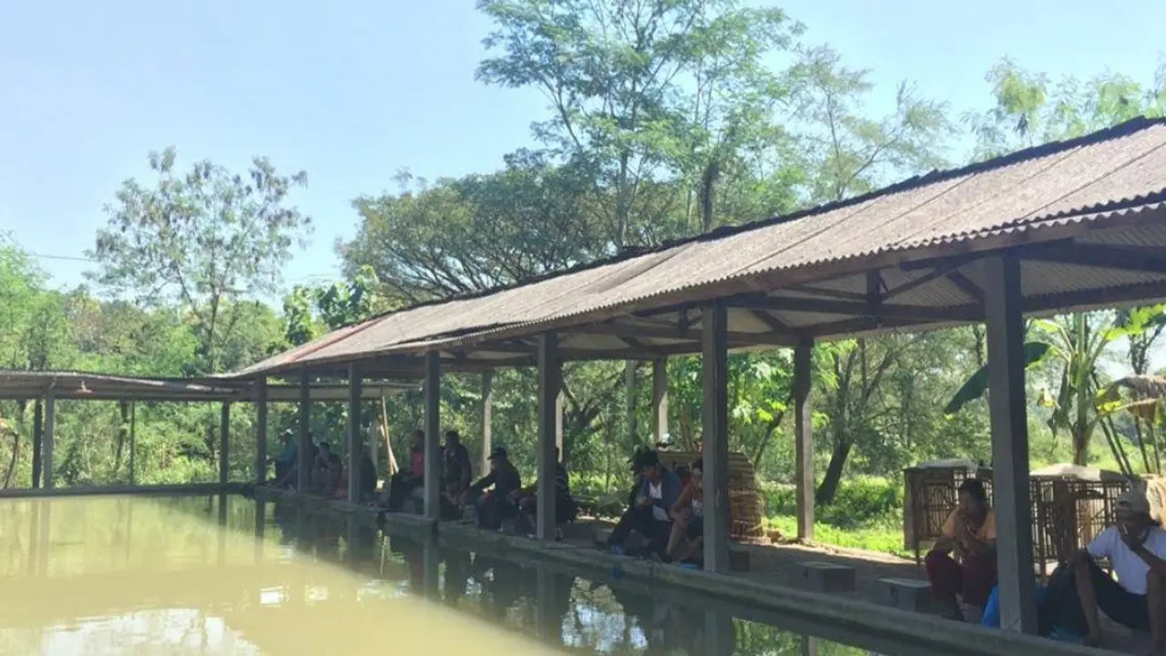 Rekomendasi Spot Mancing Nyaman 2025 di Semarang