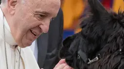 Senyum Paus Fransiskus saat menerima kedatangan tiga ekor llama di Lapangan Santo Petrus, Vatikan, Rabu (11/4). Tiga pria dari Tyrol Selatan di Italia Utara berjalan dengan tiga llama menuju Vatikan. (AP Photo/Andrew Medichini)