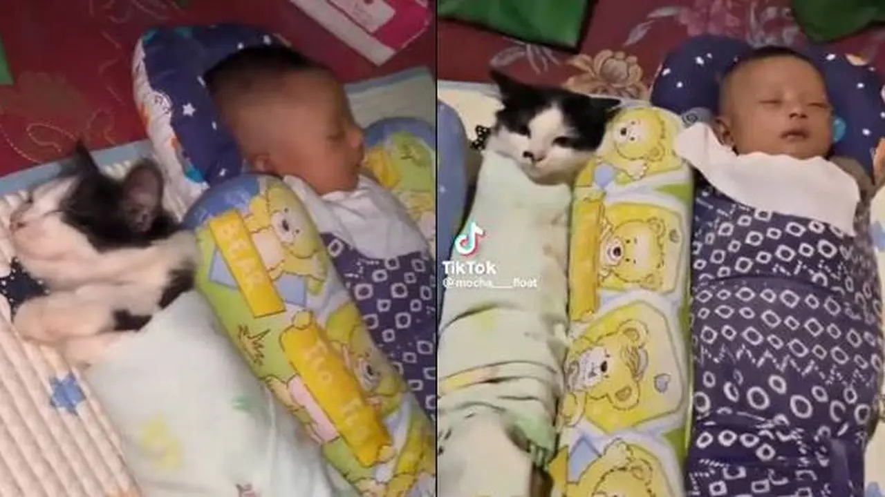 Bikin Gemas, Aksi Kocak Kucing Dibedong Bareng Bayi Ini Lucu Banget