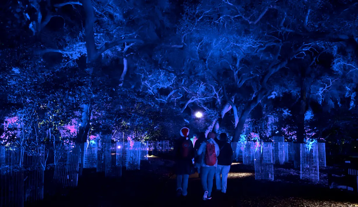 Orang-orang mengunjungi "Hutan Bercahaya" di Taman Descanso, Los Angeles, Senin (17/12). Dengan tema Enchanted: Forest of Light, pengunjung bisa melihat atraktif lampu dan karya seni ilumnasi dengan cahaya di taman tersebut. (Frederic J. BROWN / AFP)