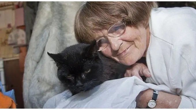 courtesy of dailymail.co.uk