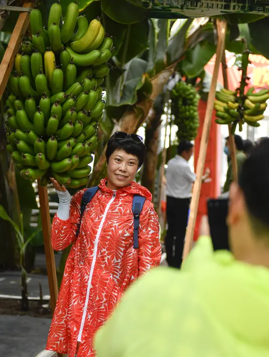 Seorang wisatawan berfoto di samping pohon pisang di rumah kaca buah-buahan tropis di Wanchang, Wilayah Yongji, yang terletak di Kota Jilin, Provinsi Jilin, China timur laut (12/8/2020). (Xinhua/Xu Chang)