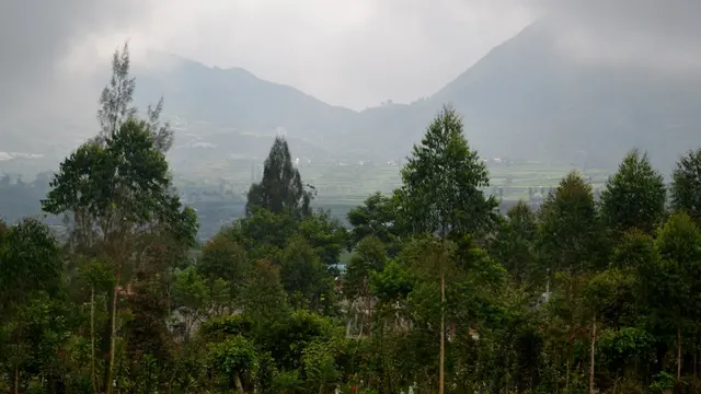 Pertanda Alam yang Terabaikan Sebelum Letusan Kawah Sileri Dieng