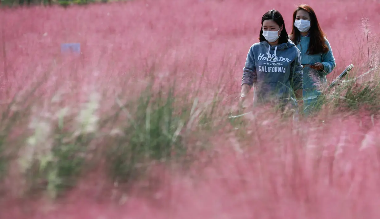 Dua orang wanita berjalan di tengah hamparan rumput muhly merah jambu di Taman Olimpiade di Seoul, Korea Selatan (15/10/2020). Korsel memutuskan untuk menurunkan pedoman jaga jarak sosial tiga tingkatnya ke level terendah setelah angka harian kasus COVID-19 relatif rendah.  (Xinhua/Wang Jingqiang)