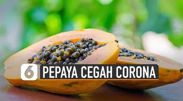 Selain rasanya yang enak, pepaya ternyata juga memiliki sejuta manfaat yang baik bagi tubuh, salah satunya cegah Corona.