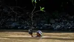 Seorang pria membawa pohon menyeberangi sungai untuk ditanam di jalur hutan dalam rangka memperingati Hari Bumi di Jantho, Provinsi Aceh, pada Rabu 22 April 2026. Peringatan Hari Bumi 2026 di Kota Jantho, Aceh Besar, ditandai dengan aksi nyata pelestarian lingkungan sekaligus protes keras terhadap kerusakan alam. (CHAIDEER MAHYUDDIN/AFP)