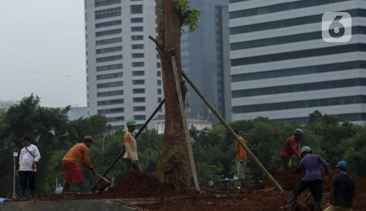 Pekerja melakukan penanaman kembali pohon-pohon di area proyek revitalisasi Taman Sisi Selatan Monumen Nasional, Jakarta, Rabu (5/2/2020). Penanaman dilakukan untuk mengganti pohon lama yang ditebang saat pembangunan proyek Plaza Selatan serta bagian dari penghijauan Monas. (merdeka.com/Imam Buhori)