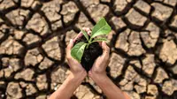 8 Climate Change Movies to Watch on Earth Day