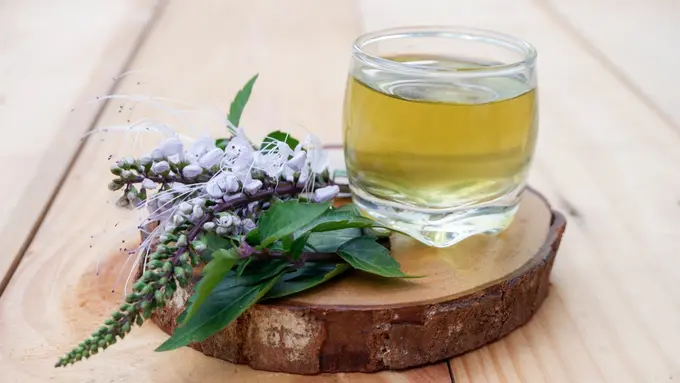 minuman rebus daun kumis kucing