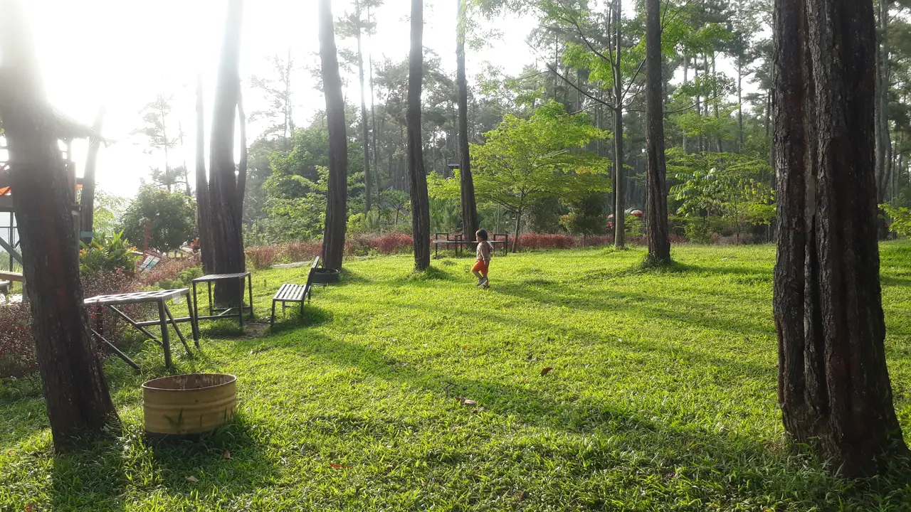 Objek wisata Kemit Forest Education, Cilacap, Jawa Tengah. (Foto: Liputan6.com/Muhamad Ridlo)
