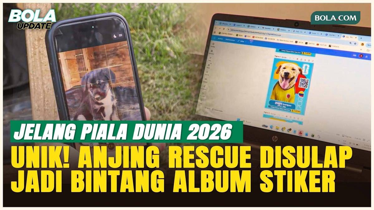 Gokil! Penampungan Hewan di Kolombia Sulap Anjing Rescue Jadi Bintang Piala Dunia