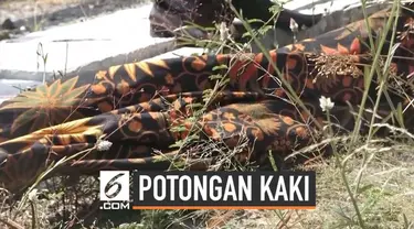 Petugas tol yang sedang membersihkan jalan di Tol Ngawi-Kertosono menemukan potongan kaki manusia di semak-semak pinggir jalan. Saat ditemukan, kaki itu sudah membusuk dan terlihat tulangnya.