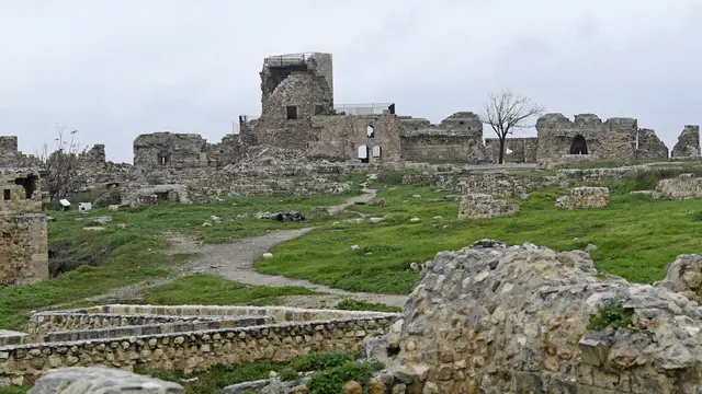 Gempa Turki Merusak Benteng Kuno Di Aleppo Suriah