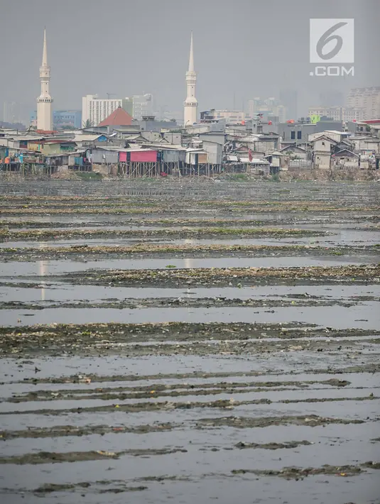 Suasana waduk Pluit yang mengalami pendangkalan di wilayah Penjaringan, Jakarta Utara, Sabtu (8/6/2019). Endapan lumpur cukup tebal yang diperparah dengan sampah menutupi permukaan air waduk tersebut mengantarkan aroma tidak sedap. (Liputan6.com/Faizal Fanani)