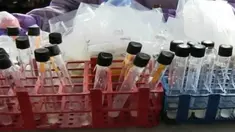 KPKP dibantu Balai Pengawasan Obat dan Makanan (BPOM) Jakarta merazia sejumlah mini market yang ada di Jakarta Selatan.
