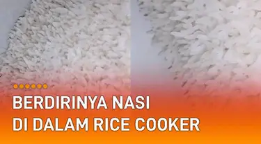 Momen aneh dialami oleh seorang perempuan ini ketika melihat nasinya berdiri di dalam rice cooker .