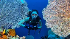 Widika memang dikenal sebagai sosok perempuan yang gemar traveling. Hal tersebut terbukti saat ia ditunjuk menjadi host acara petualang di salah satu televisi swasta Tanah Air. Saat menjelajahi indahnya lautan Raja Ampat, ia tak lupa mengabadikan fotonya di antara karang. (Liputan6.com/IG/@wdkds)