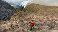Petugas melakukan pemadaman api di Bukit Teletubbies yang kebakaran. (Foto: BBTN Bromo Tengger Semeru)