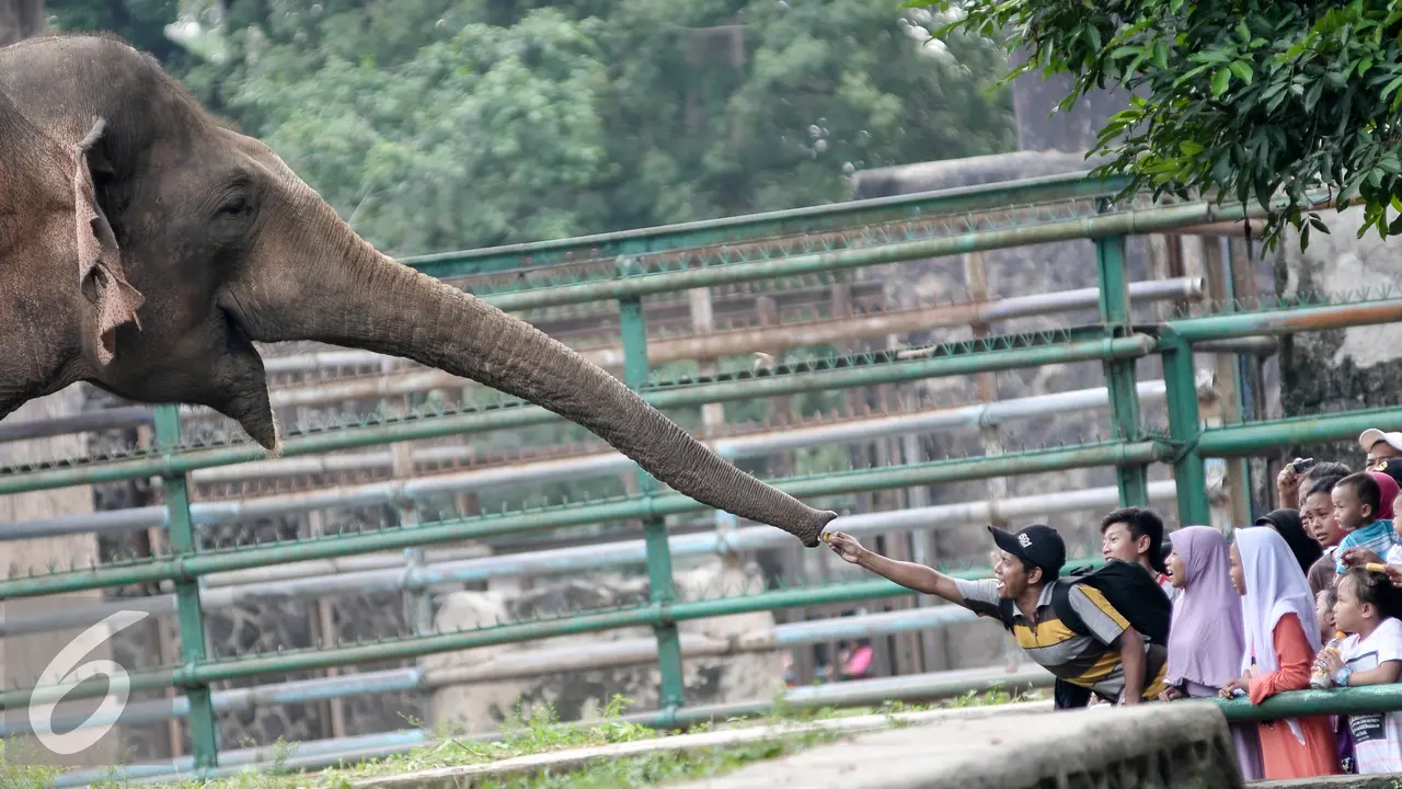 20160709-Pengunjung-Ragunan-Jakarta-YR
