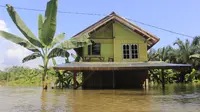 Banjir di Kampar. (Liputan6.com/M Syukur)