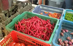 Harga Pangan 12 Oktober 2026: Cabai Rawit Merah dan Daging Sapi Masih Tinggi