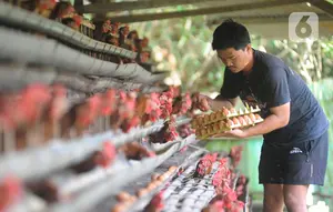 Harga Pangan Hari Ini: Cabai Rawit Merah Rp 61.450 per Kg, Telur Ayam Rp 29.050