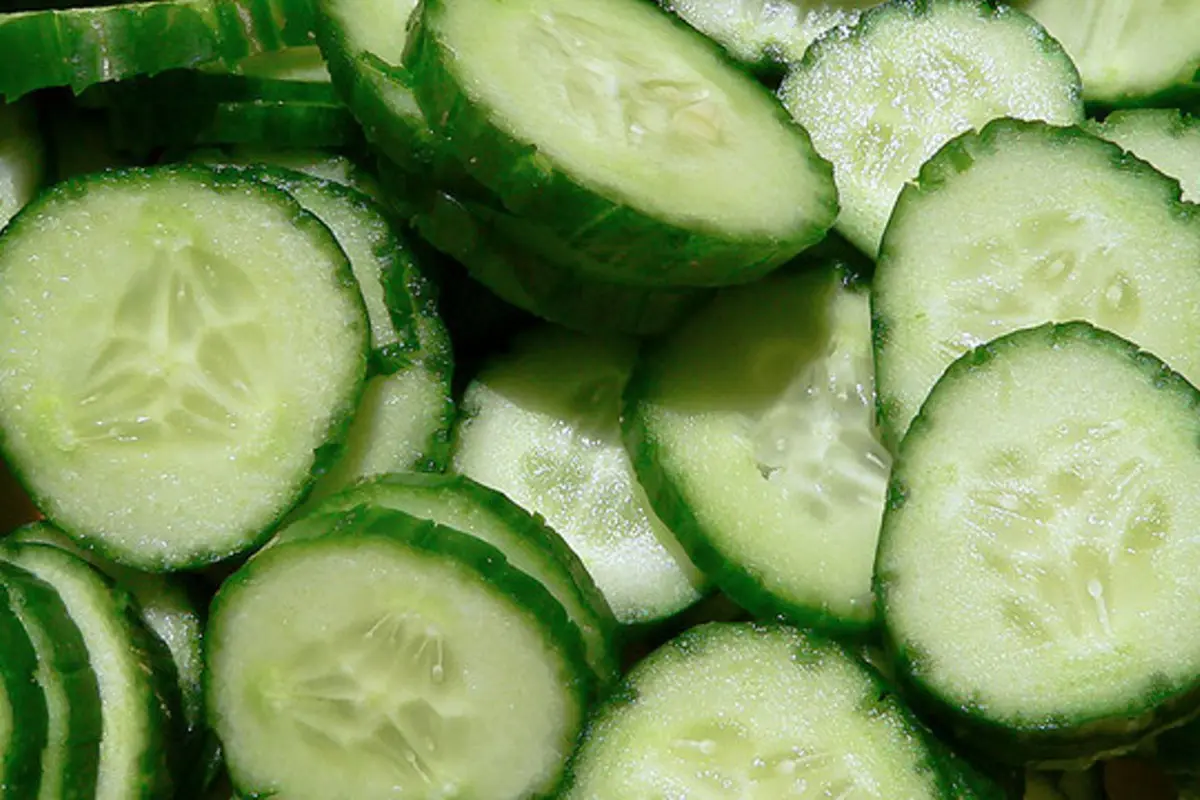 Diet Sehat Jadi Salah Satu Manfaat Mengonsumsi Timun