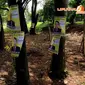 Poster Caleg juga masih menempel di beberapa pohon yang ada di sekitar Universitas Pancasila (Liputan6.com/Helmi Fithriansyah) 