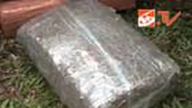 Polda Jambi Sita 1,1 Ton Ganja
