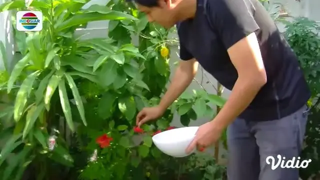 Hasil Kebun Sendiri, Ini 6 Potret Lucky Hakim Makan Siang Pakai Bunga Mentah
