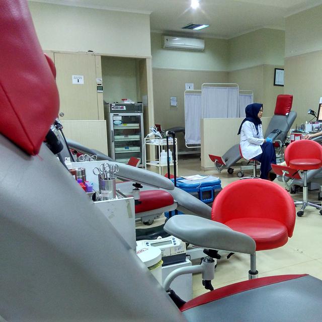 Stok Trombosit Darah Di Pmi Bandung Menipis Warga Perlu Bawa Donor Sendiri Health Liputan6 Com
