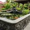 6 Desain Kolam Ikan dengan Bibir Tinggi agar Aman untuk Balita Sekaligus Mempertegas Tampilan