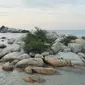 Gugusan batuan yang berjajar rapi dan terlihat apik di Pantai Parai Tenggiri tersebut dinamakan Rock Island. Suasana di Rock Island ini sangat romantis, terutama ketika malam hari. (Liputan6.com/Gempur M Surya)